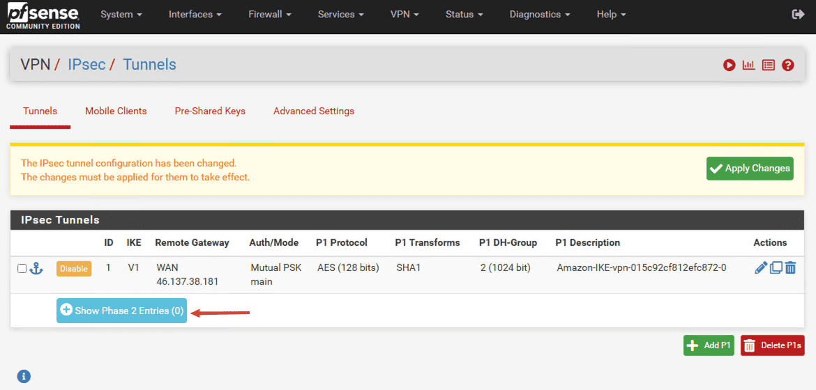 AWS to PfSense Site-to-Site VPN | Detaylı Kurulum Rehberi 19