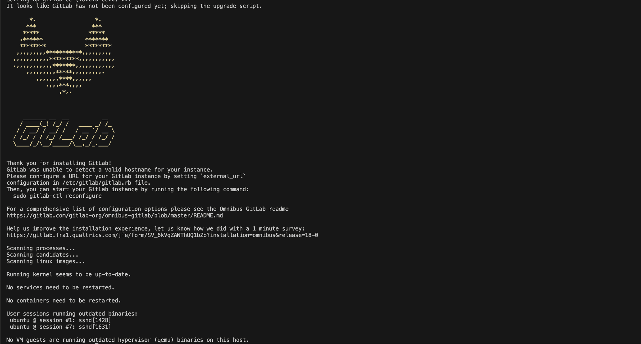 GtiLab Kurulum Rehberi | Ubuntu üzerine Gitlab kurulumu 4